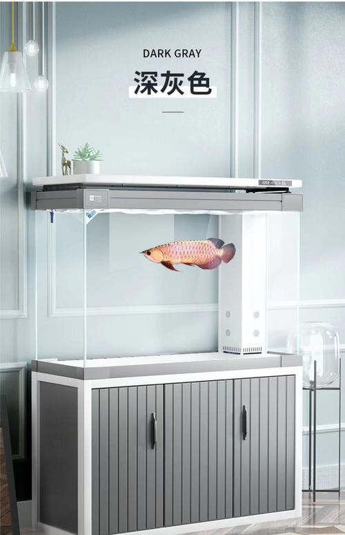 龍魚缸背景圖選擇什么顏色好看 龍魚缸背景圖選擇什么顏色好看 龍魚百科 第30張