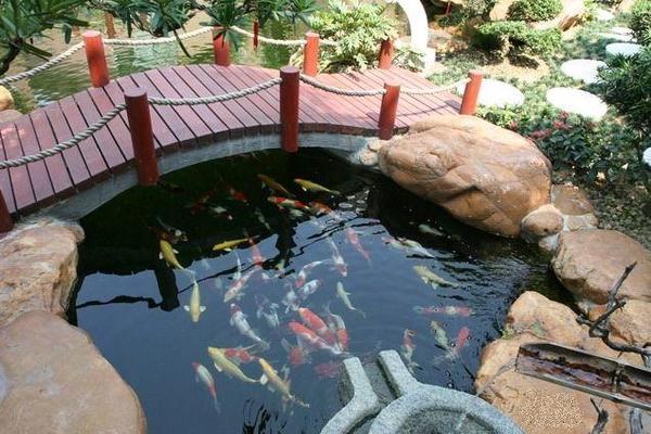 都江堰市朝富水族館（都江堰市朝富水族館電話）