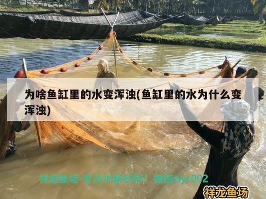 <strong><mark>昆明</mark></strong>市盤龍區鑫鑫水族館（<strong><mark>昆明</mark></strong>市盤龍區鑫鑫水族館地址）