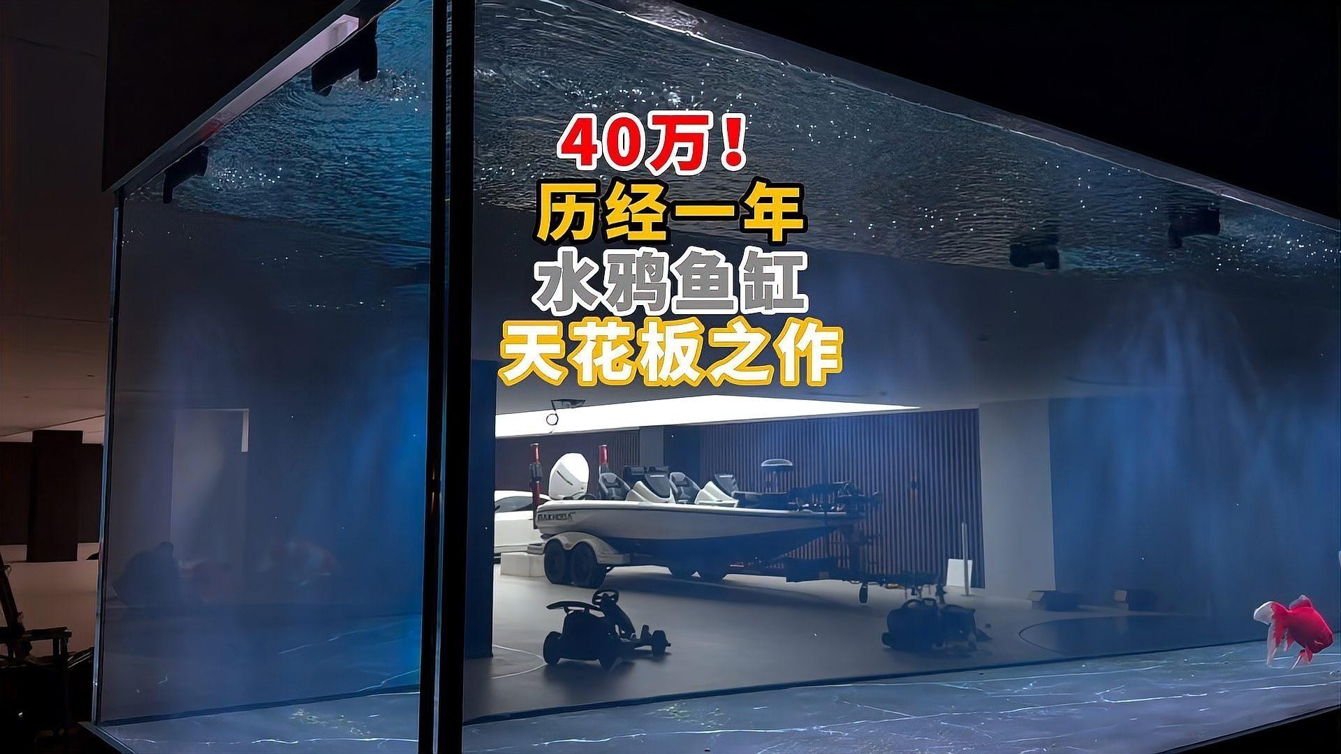 龍魚(yú)缸品牌哪個(gè)比較好一點(diǎn)