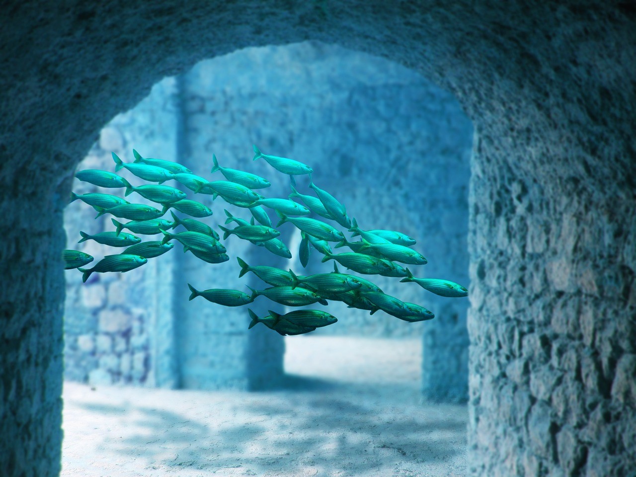 三亞水下微景水族館（三亞水下世界）