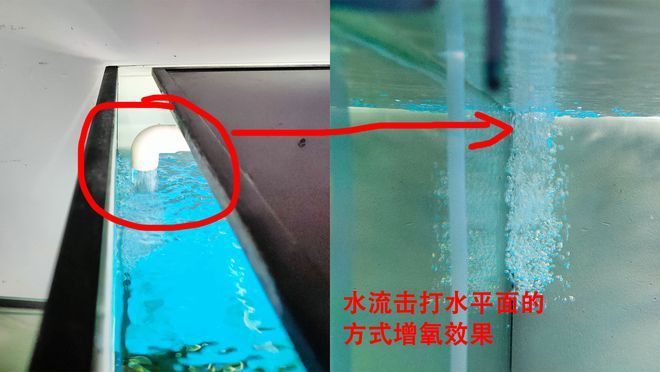 <strong><mark>新疆</mark></strong>榮旭物業(yè)管理服務有限責任公司（<strong><mark>新疆</mark></strong>榮旭物業(yè)管理服務有限責任公司怎么樣）