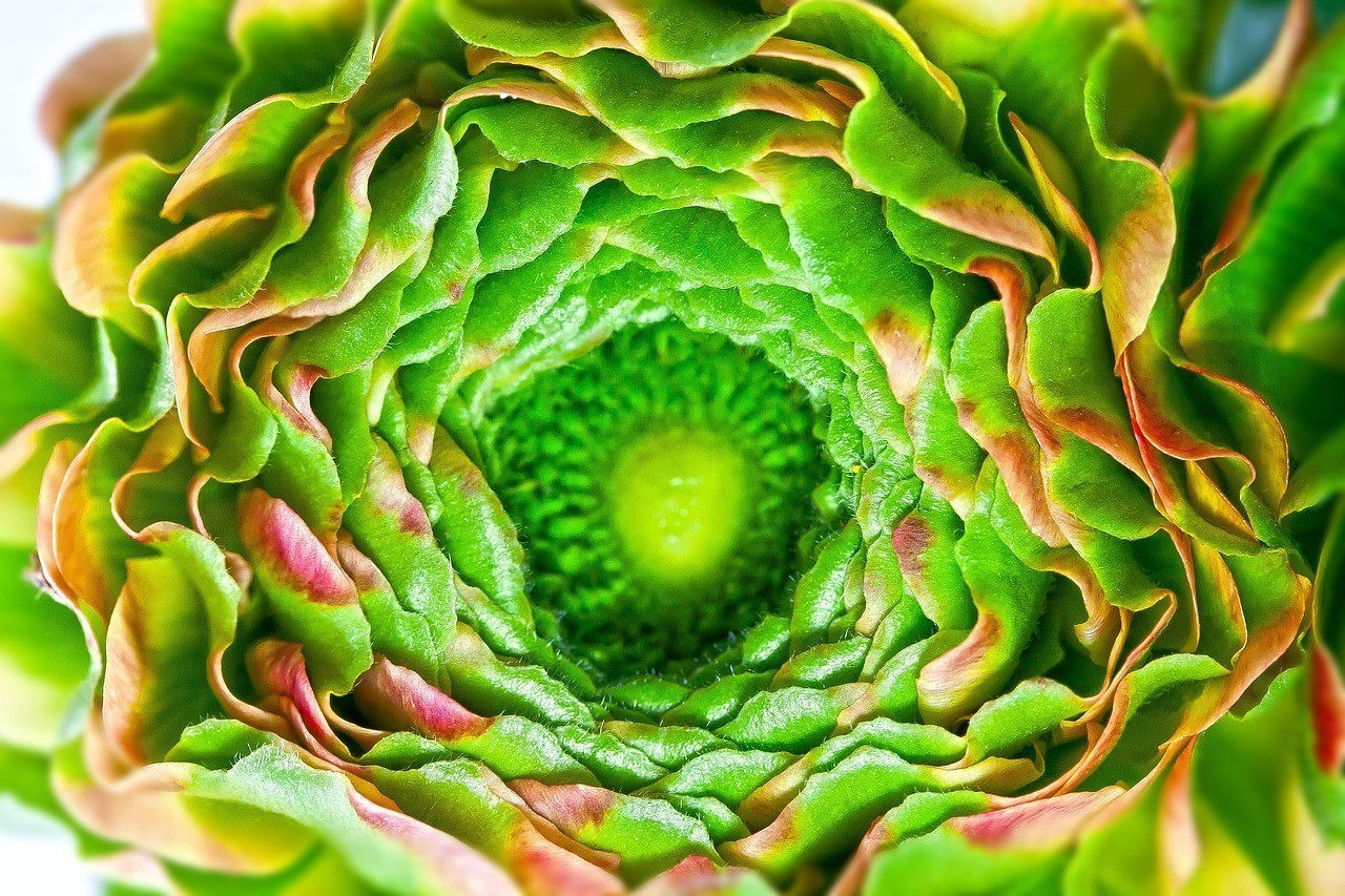 龍龜開光后不凈化會怎樣？