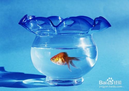 天津市津南區(qū)紫陽東順?biāo)屦^（天津市津南區(qū)紫陽東順?biāo)屦^電話）