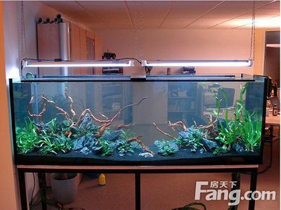 海安可麗愛漁具經營部（海安可麗愛漁具經營部地址）