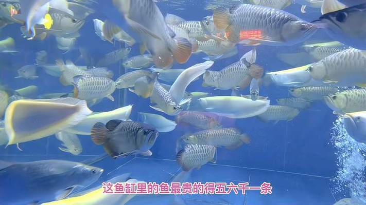 圍場滿族蒙古族自治縣圍場鎮海忠漁具店