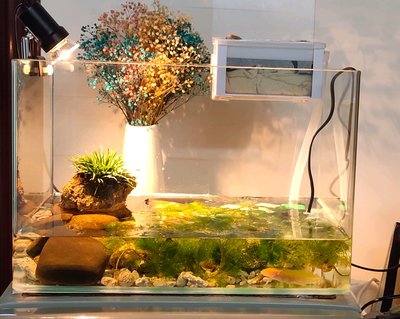 唐山市豐潤區海景水族館（唐山市豐潤區海景水族館電話）