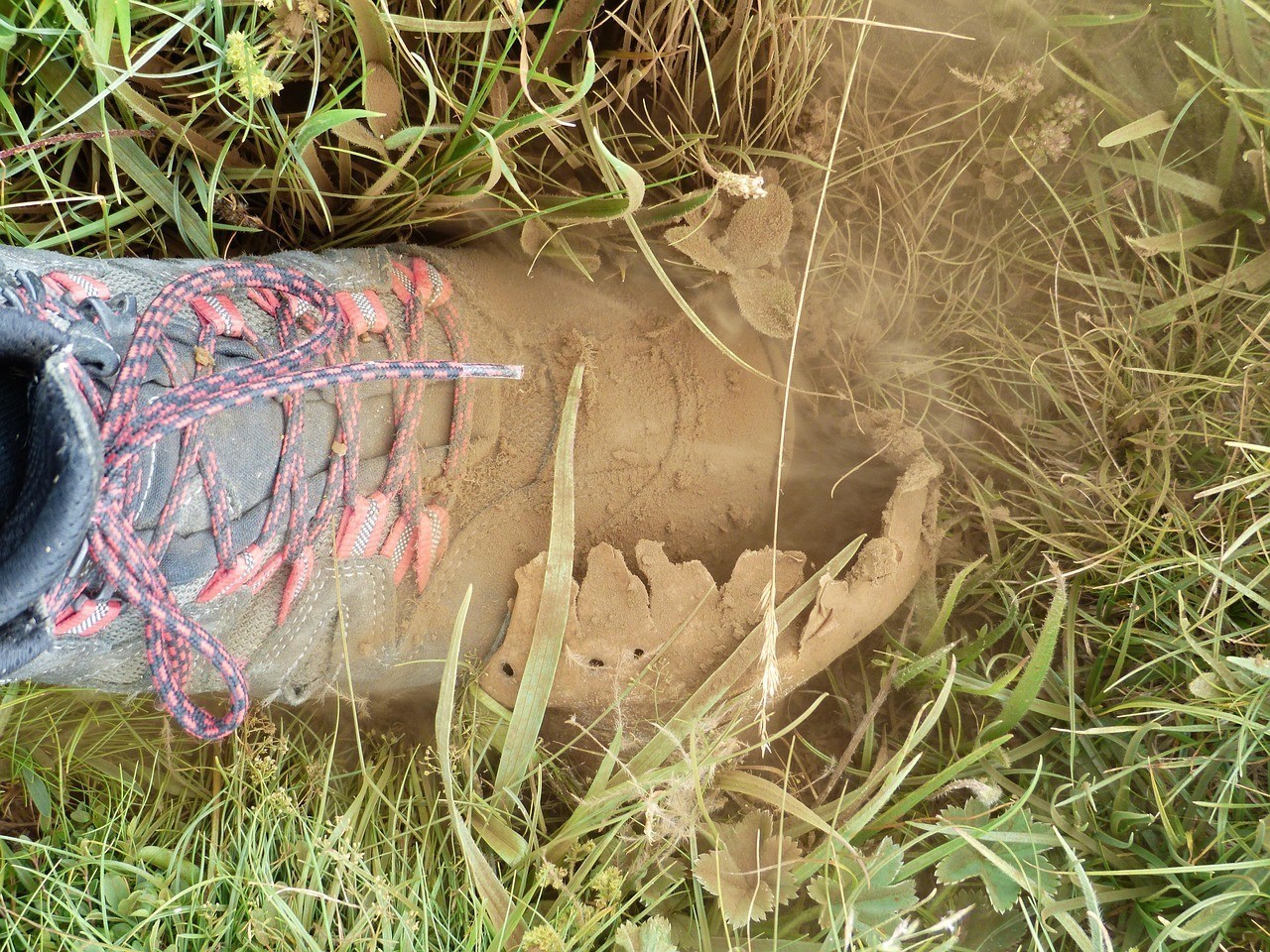 夢見龍魚死亡后多久財運會好轉？ 夢見龍魚死亡后多久財運會好轉？ 龍魚百科 第1張