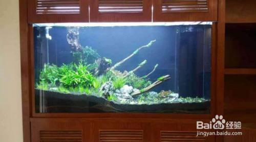 麗水市蓮都區(qū)顧潔水族館（麗水市蓮都區(qū)顧潔水族館地址）