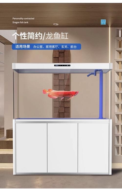 龍魚(yú)跳缸是什么原因呢怎么解決的圖片