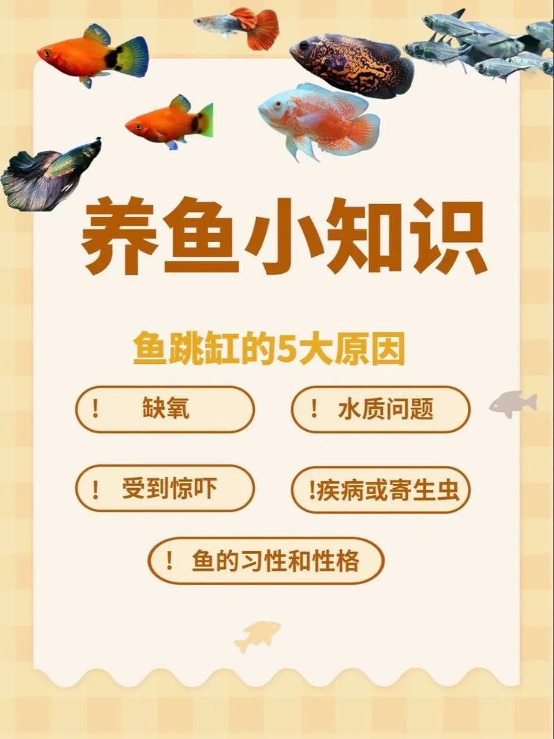 龍魚(yú)跳缸是什么原因呢怎么解決的圖片
