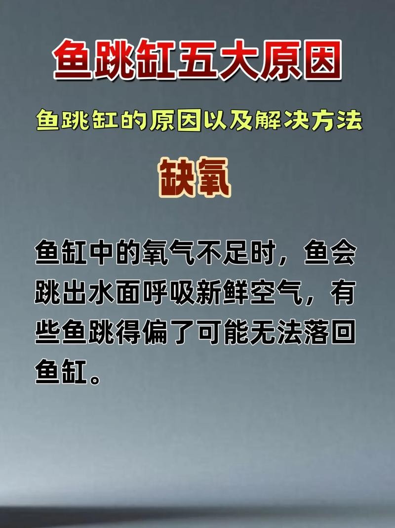 龍魚(yú)跳缸是什么原因呢怎么解決的圖片