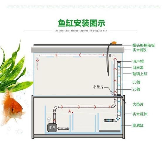 龍魚(yú)跳缸是什么原因呢怎么解決的圖片