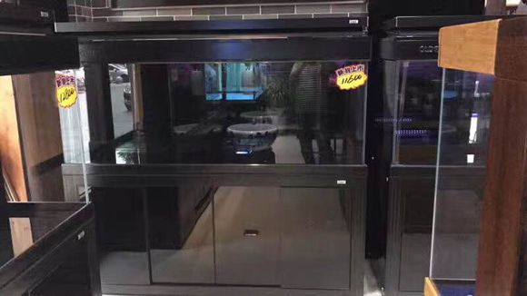 <strong><mark>深圳</mark></strong>市龍鯤水族文化有限公司（<strong><mark>深圳</mark></strong>市龍鯤水族文化有限公司電話）