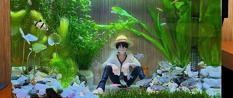 莒南縣順建觀賞魚養(yǎng)殖場（莒南縣順建觀賞魚養(yǎng)殖場地址）