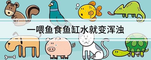 廣州市花都區新華雅美水族店