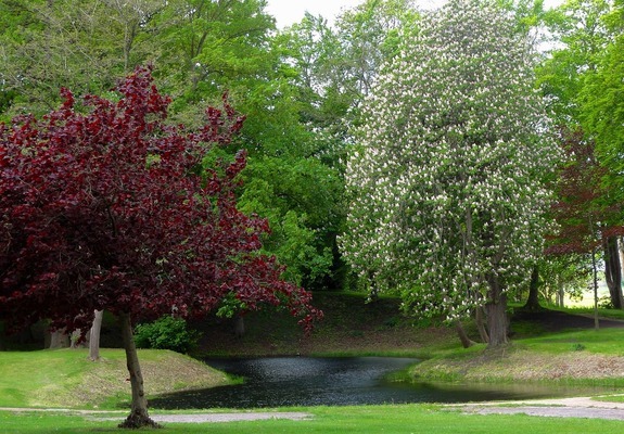 <strong><mark>翁牛特</mark></strong>旗烏丹鎮(zhèn)花鱻花店