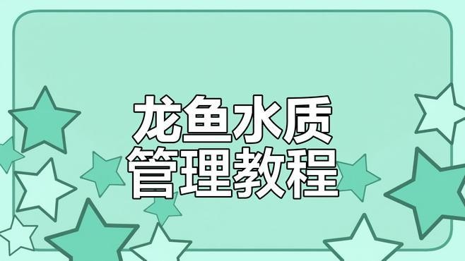 龍魚混養的最佳搭配有哪些 龍魚混養的最佳搭配有哪些 龍魚百科 第8張