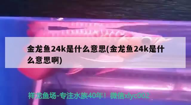 烏魯木齊市米東區天潤水族館（烏魯木齊市米東區天潤水族館電話）