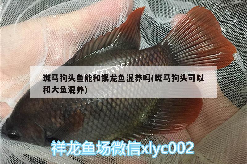 <strong><mark>梁山</mark></strong>縣一諾園藝工作室