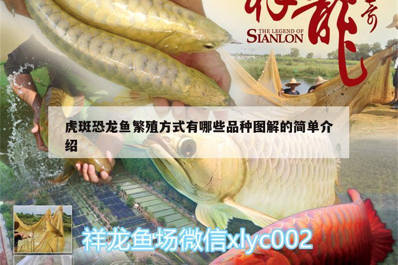 梁山縣一諾園藝工作室