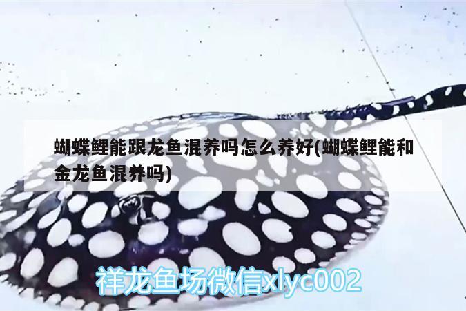 建水縣小林水族館