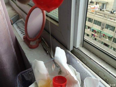 如何辨別金龍魚的真假