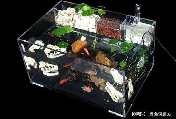 都昌縣佳達水族店