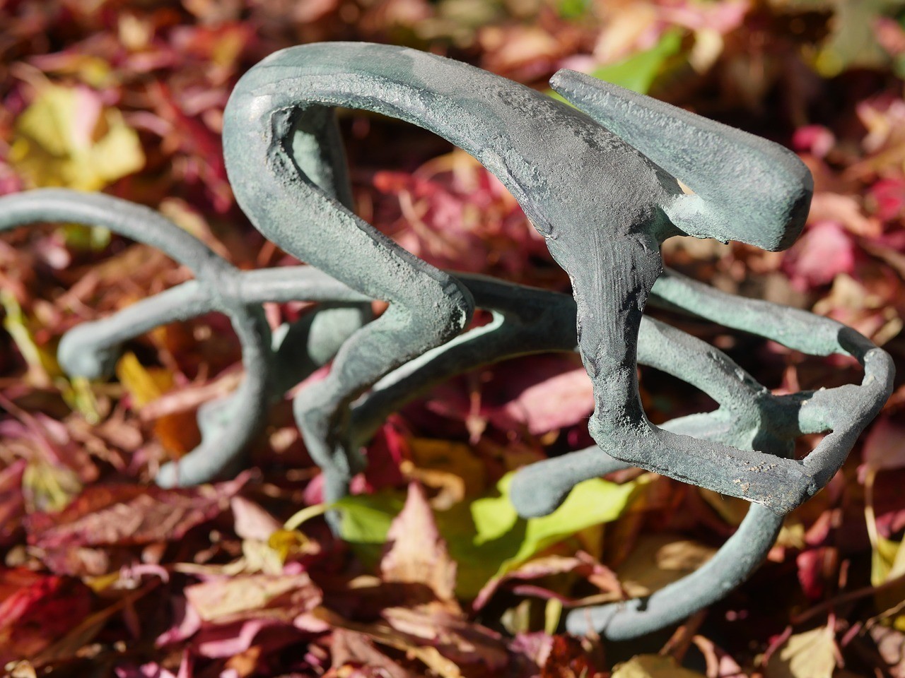 西吉县泽豪花卉店