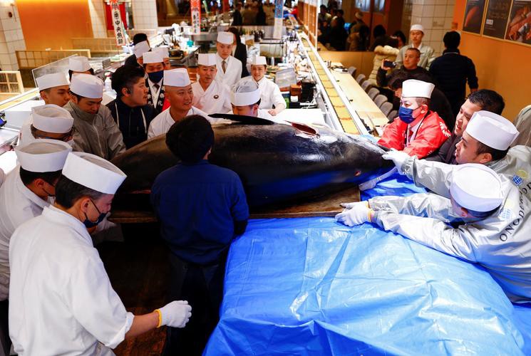 藍(lán)色金龍魚拍賣