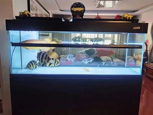 海勃灣區(qū)兩魚水族館（海勃灣區(qū)兩魚水族館電話）