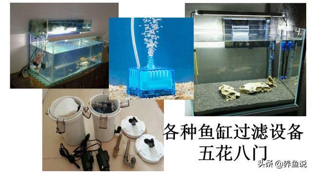 黔西南貞豐縣小康水族寵物店