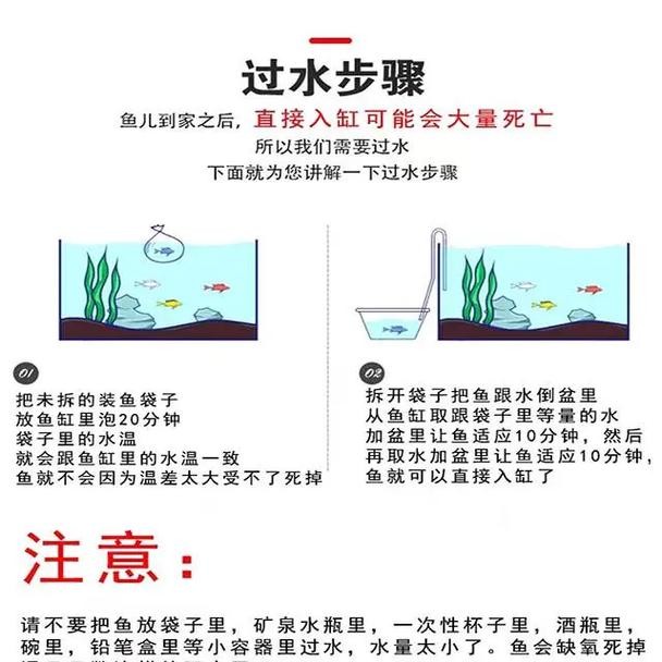 龍魚換缸后如何避免應(yīng)激？