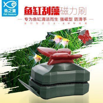 紅龍魚吃什么飼料長得快些（紅龍魚吃什么飼料長得快些呢）