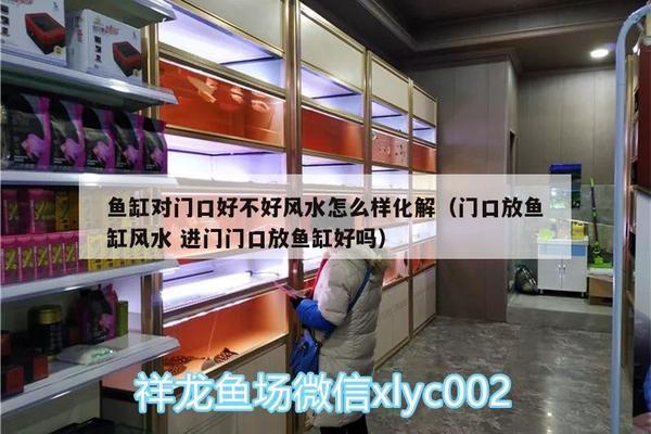 浙江鳳起花鳥城玥玥水族商行