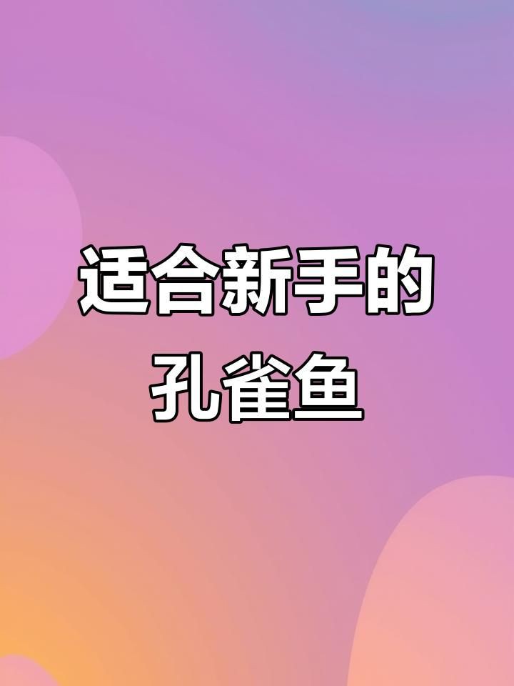 孔雀魚什么品種最皮實，孔雀魚小課堂之不同品種孔雀魚的“忍耐力”