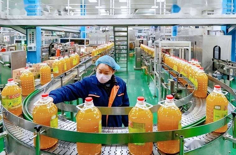 金龍魚商超專員