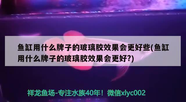 魚缸都有啥牌子好用(魚缸什么牌子的好?)