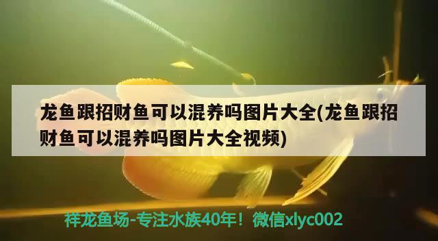 哈爾濱趣之樂網絡科技有限公司（哈爾濱趣之樂網絡科技有限公司怎么樣）
