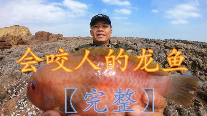 龍魚有變異嗎：變異龍魚市場價格趨勢