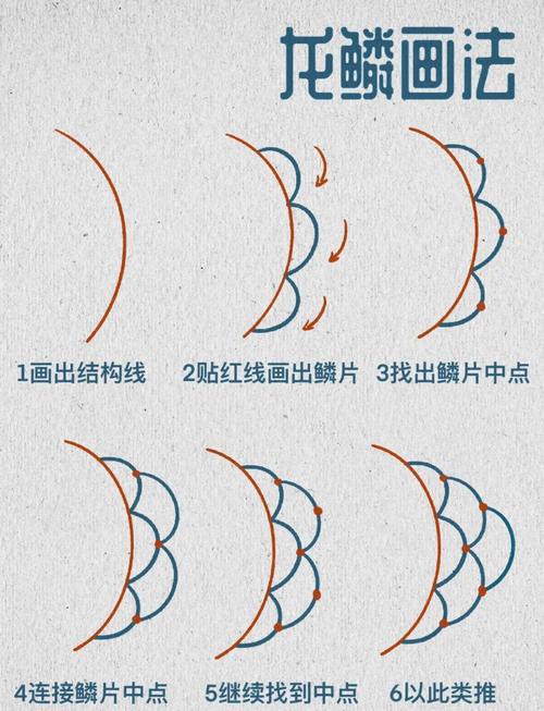 金龍魚結(jié)構(gòu)圖片大全