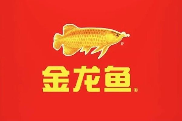 金龍魚一年銷售額（金龍魚一年銷售額下滑原因探究）