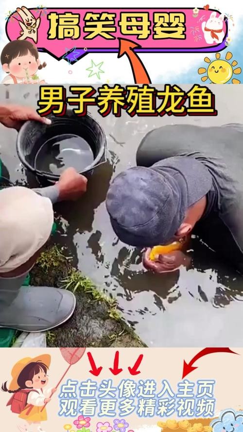 龍魚養殖基地圖片大全 龍魚養殖基地圖片大全 龍魚百科 第39張