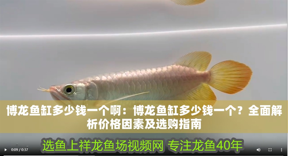 博龍魚缸多少錢一個啊：博龍魚缸多少錢一個？全面解析價格因素及選購指南