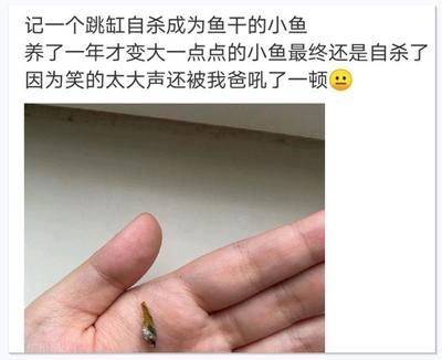 龍魚尾巴爛了掉鄰怎么辦（如何處理龍魚尾巴爛了掉鄰的問題）