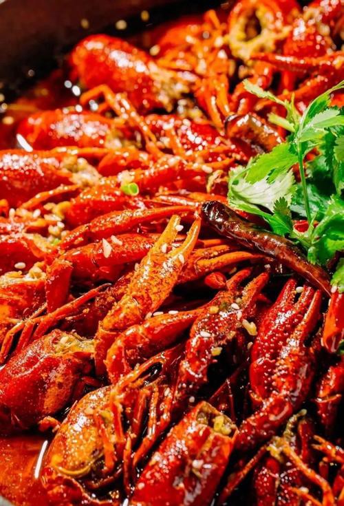 如何找到高清的龍蝦圖片？