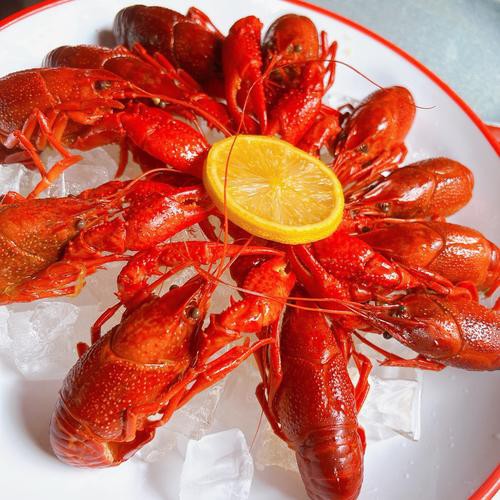 如何找到高清的龍蝦圖片？