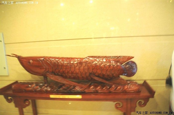 金龍魚養生會所在哪里(北京養生會所排名) 龍魚百科 第1張 金龍魚養生會所在哪里(北京養生會所排名) 金龍魚養生會所在哪里(北京養生會所排名) 龍魚百科 第1張