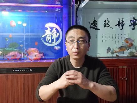 蝴蝶鯉跟龍魚混養如何喂食