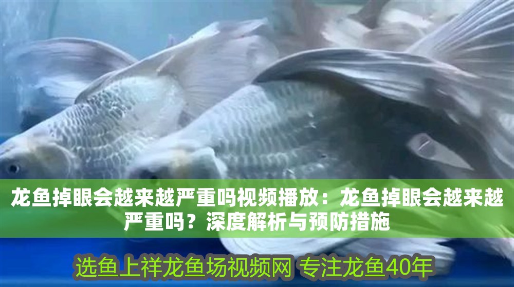 龍魚掉眼會越來越嚴重嗎視頻播放：龍魚掉眼會越來越嚴重嗎？深度解析與預防措施